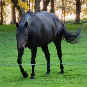 ⭐ ⭐ ⭐ ❤️ Please like & Share to be Notified when I'm Live 😊 Thank You!